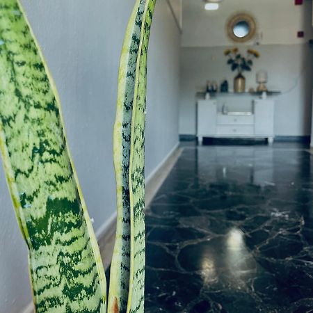 Aktaion Hotel Skala Alykis Kültér fotó
