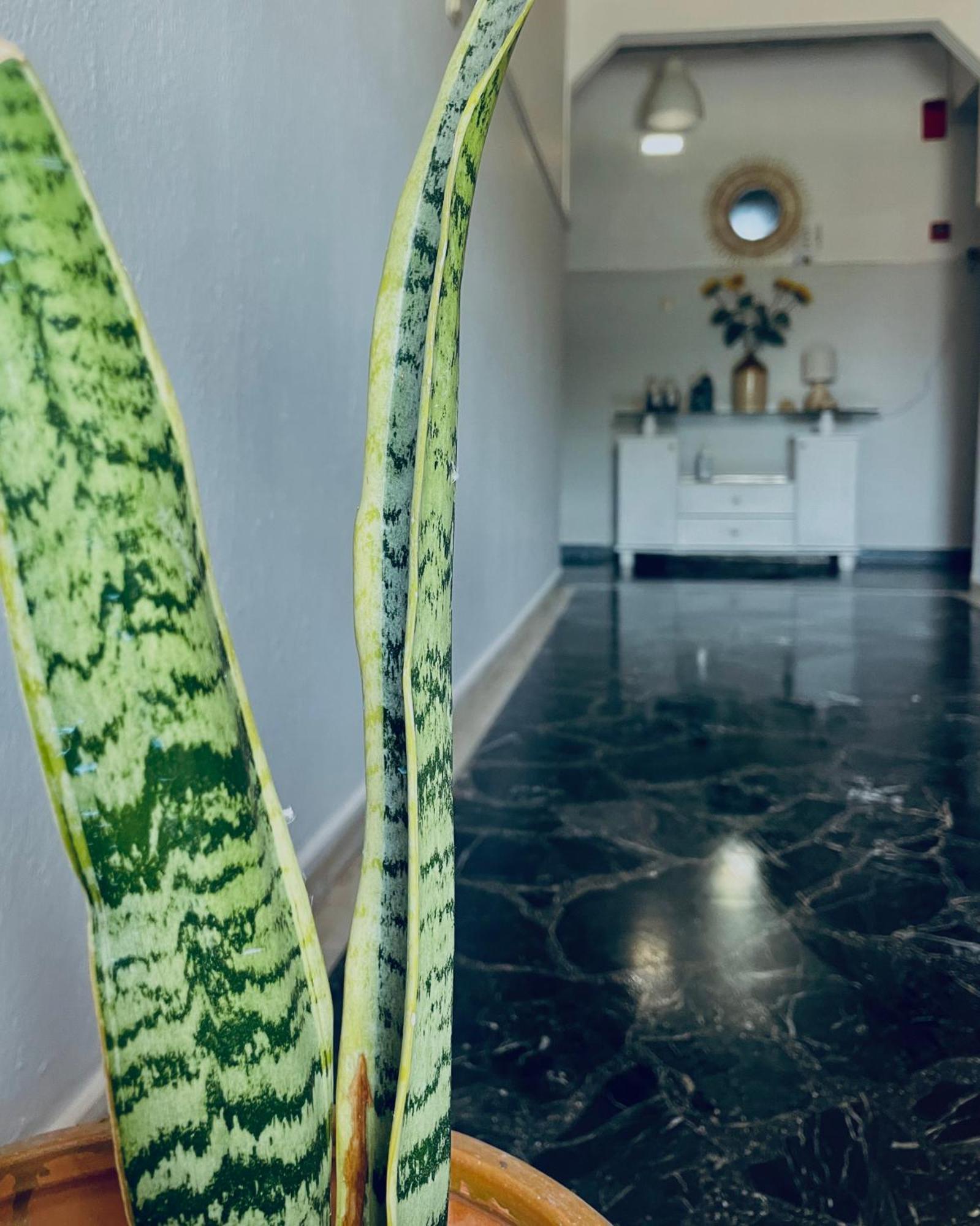 Aktaion Hotel Skala Alykis Kültér fotó