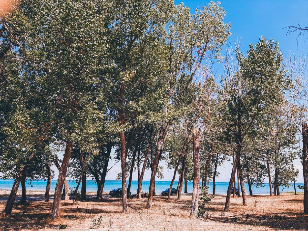 Aktaion Hotel Skala Alykis Kültér fotó