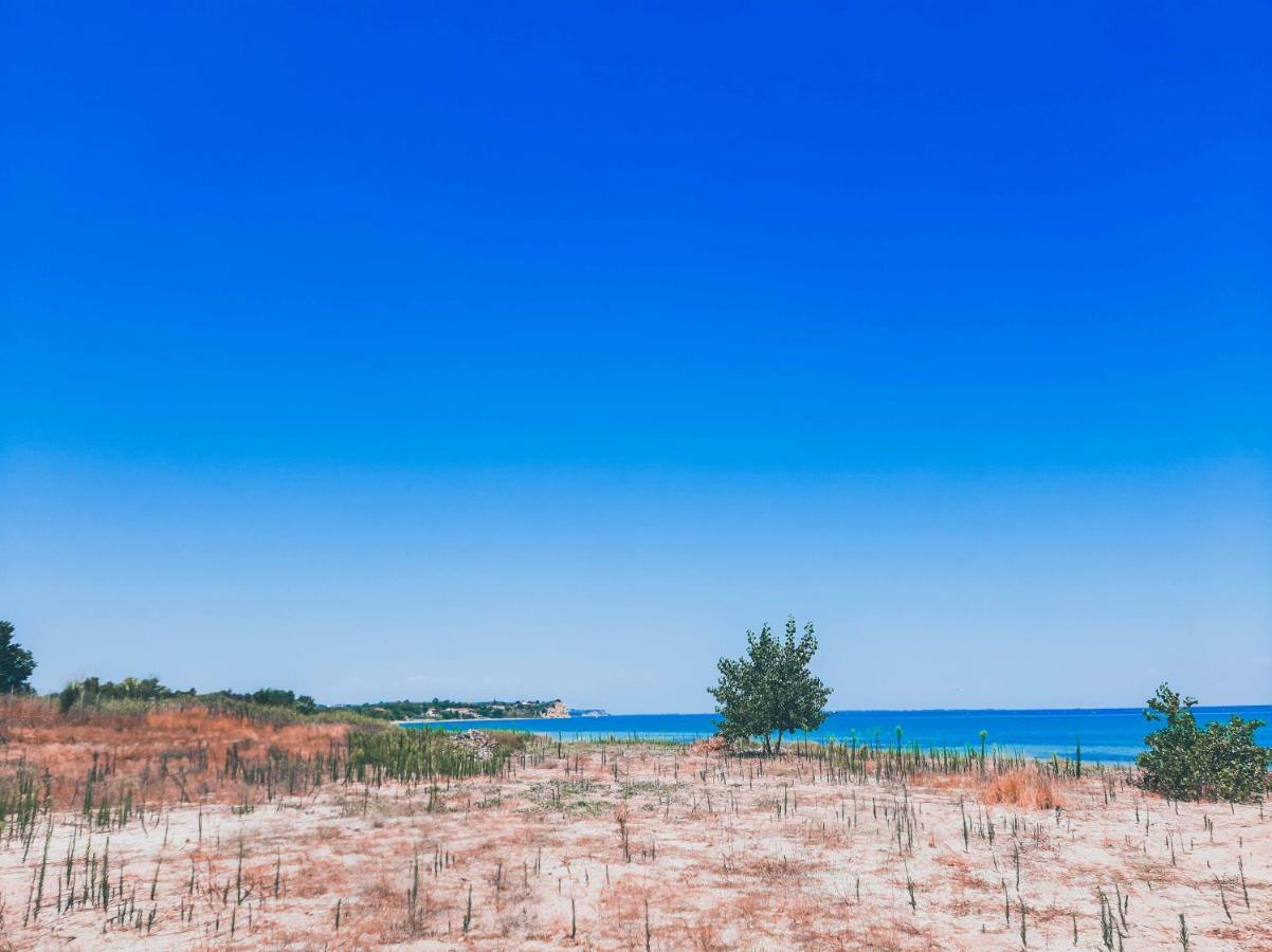 Aktaion Hotel Skala Alykis Kültér fotó